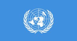 Birleşmiş Milletler Amblem